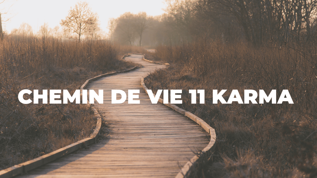 chemin de vie 11 karma