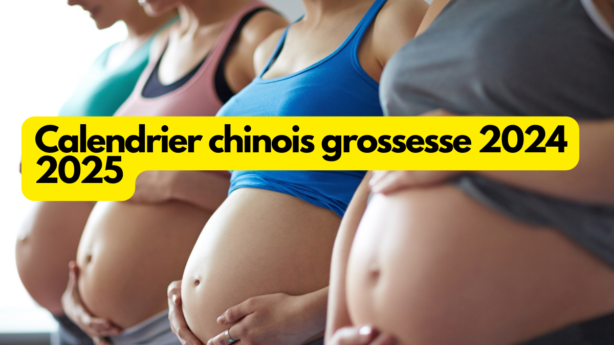 Calendrier Chinois Grossesse Calcul 2024 2025