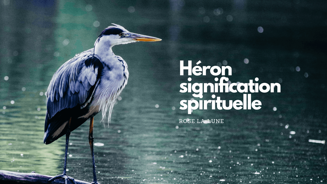 Heron signification spirituelle