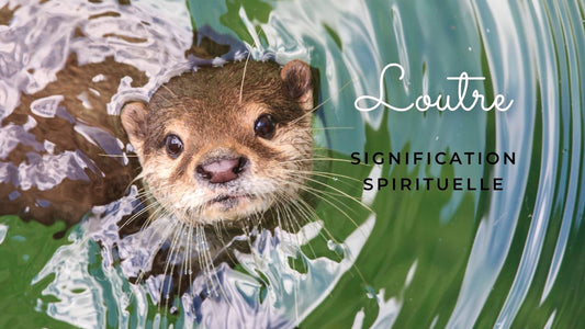 Loutre signification spirituelle