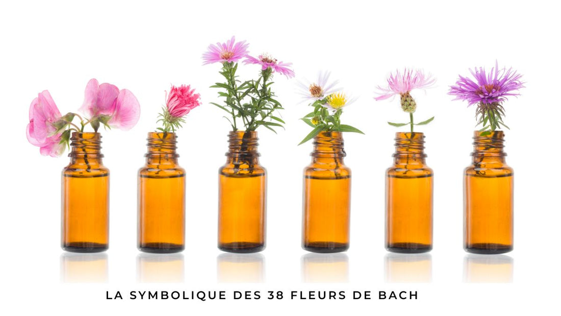 La symbolique des 38 fleurs de Bach