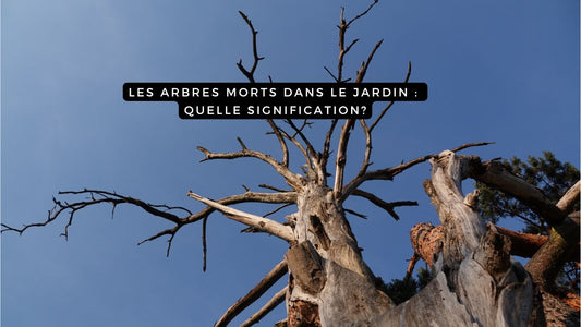 Les arbres morts dans le jardin : quelle signification?