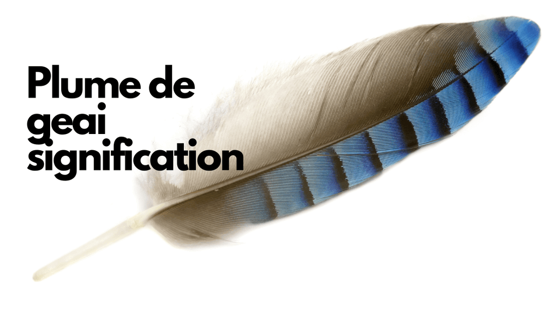 Plume de geai signification