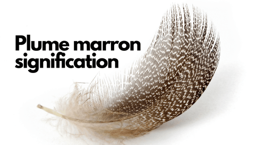 Plume marron signification