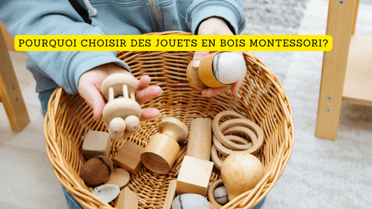 Pourquoi choisir des jouets en bois Montessori?