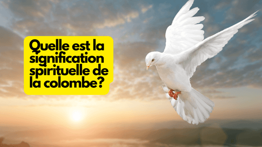 Quelle est la signification spirituelle de la colombe?