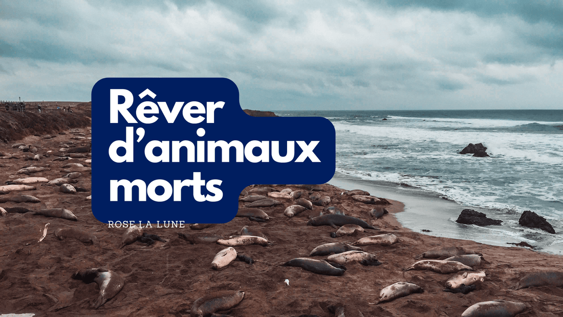 Rever d animaux morts: signification et interpretation