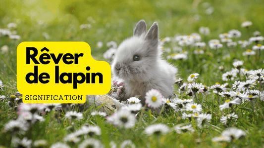 Rêver de lapin: quelle signification?