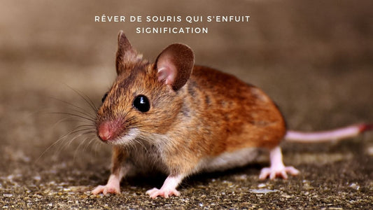 Rêver de souris qui s'enfuit signification