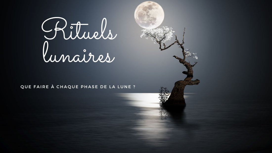 Rituels lunaires : que faire à chaque phase de la Lune ?