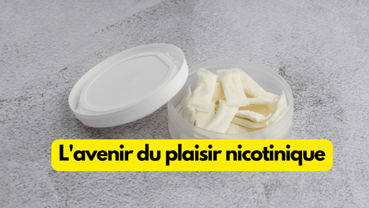 L'avenir du plaisir nicotinique : approches novatrices sans tabac - La nouvelle ère des produits à base de nicotine