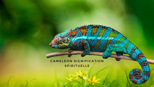 Caméléon signification spirituelle