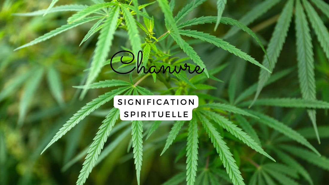 La signification spirituelle du chanvre