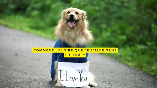 Comment lui dire que je l'aime sans lui dire?