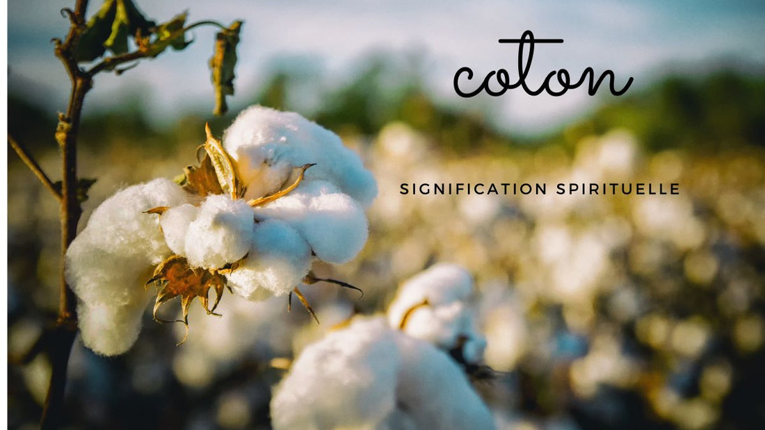 La signification spirituelle du coton