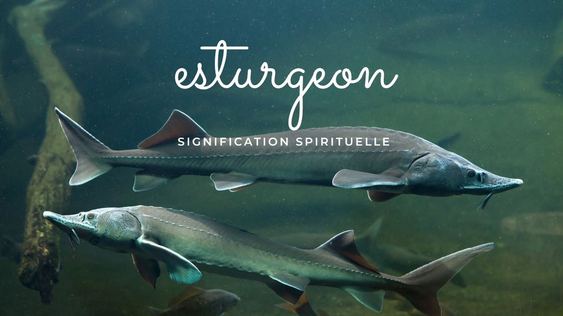 Esturgeon signification spirituelle et symbolique