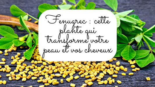 Fenugrec : cette plante qui transforme votre peau et vos cheveux