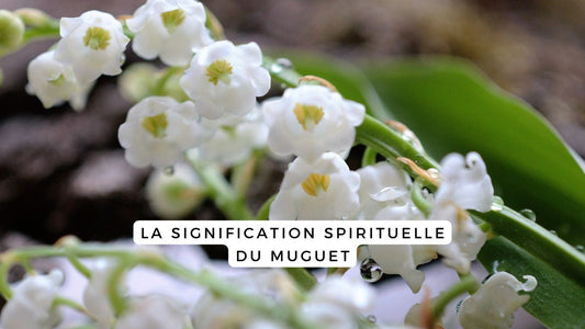 La signification spirituelle du muguet