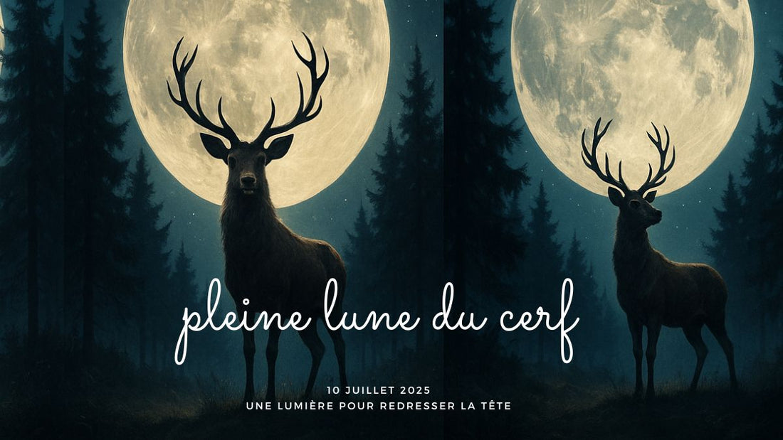 Pleine lune du cerf du 10 juillet 2025 : une lumière pour redresser la tête