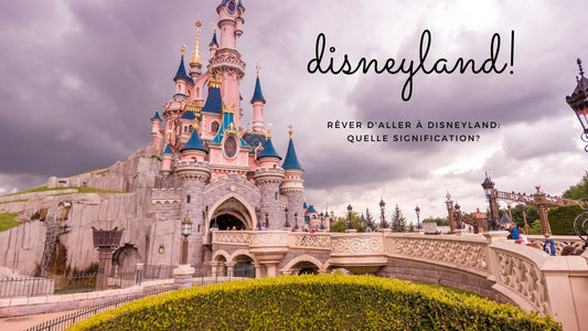 Rêver d'aller à Disneyland: quelle signification?