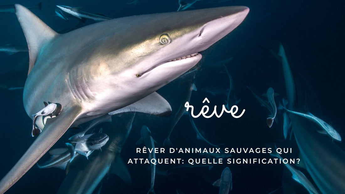 Rêver d'animaux sauvages qui attaquent: quelle signification?