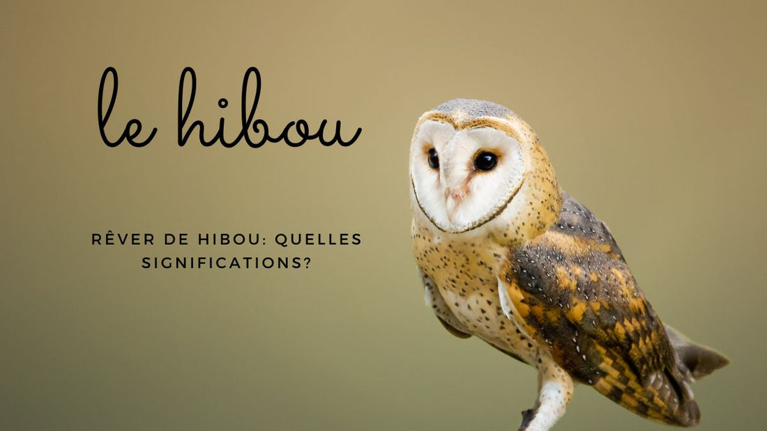 Rêver de hibou: quelles significations?