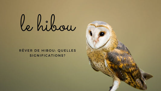 Rêver de hibou: quelles significations?