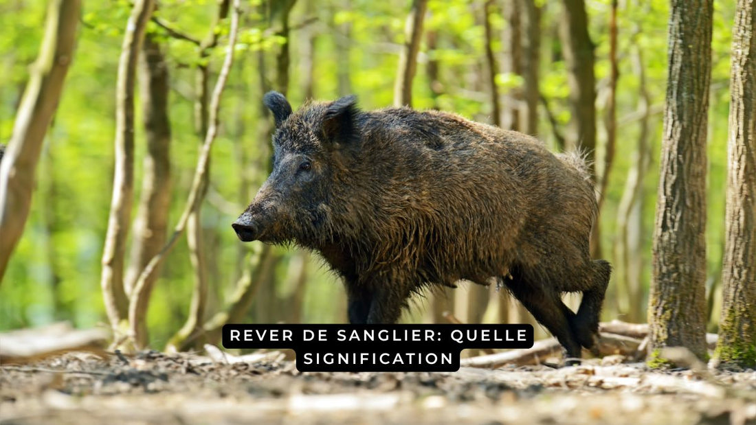 Que signifie rêver d'un sanglier?