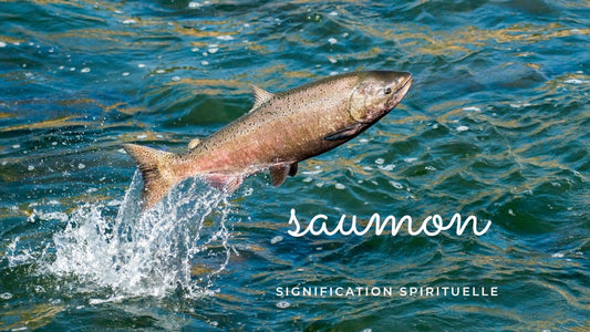 Saumon signification spirituelle