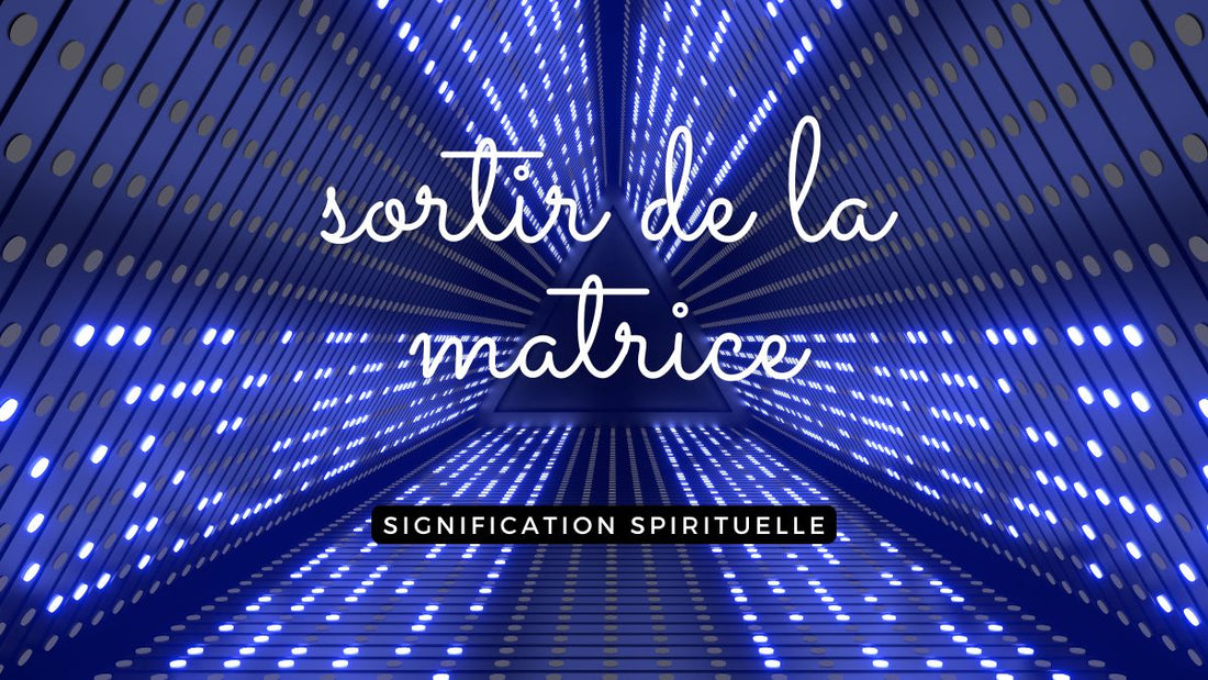 Sortir de la matrice signification spirituelle