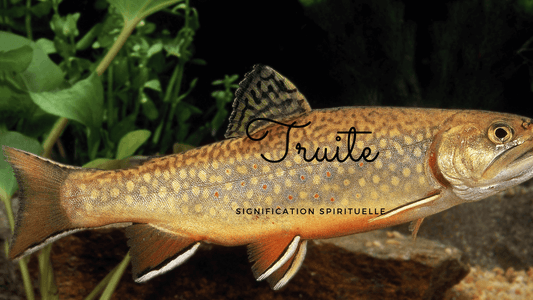 Truite signification spirituelle