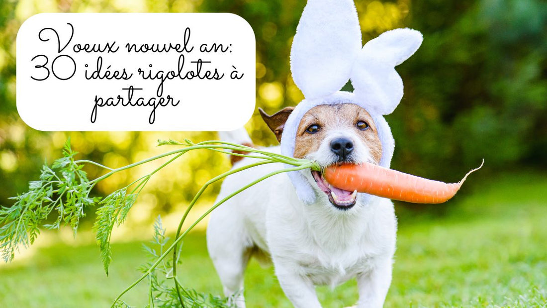 Voeux 2026 humour: 30 idées rigolotes à partager