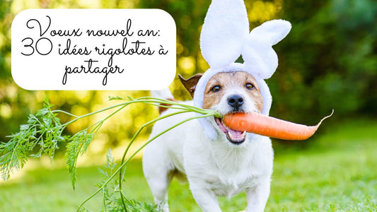 Voeux 2026 humour: 30 idées rigolotes à partager