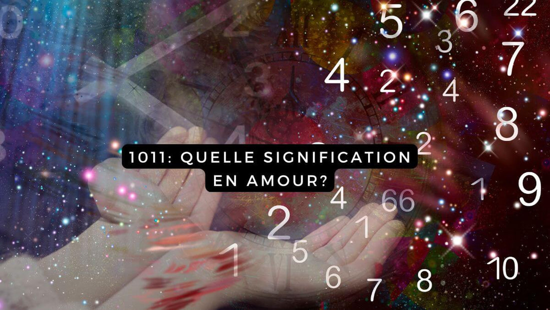 1011 signification amour