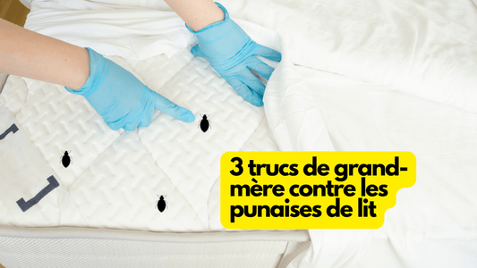 3 trucs de grand-mère contre les punaises de lit