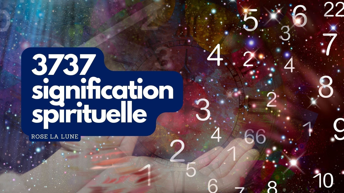3737 signification spirituelle – Rose La Lune