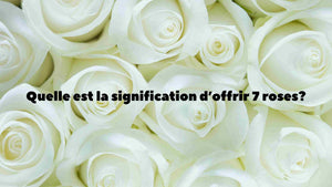 Quelle est la signification de 7 roses dans un bouquet