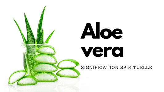 Aloe vera signification spirituelle