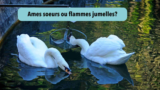 Ame soeur ou flamme jumelle: quelle différence?