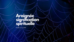 L'araignée: quelle signification spirituelle?
