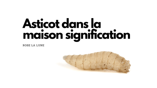 Asticot dans la maison signification