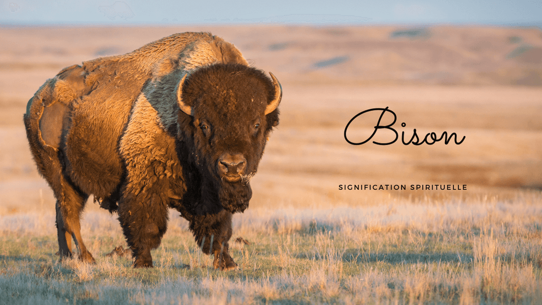 Bison signification spirituelle