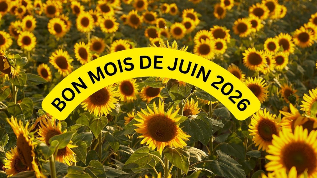 Comment souhaiter un bon mois de juin 2026?