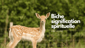 Voir une biche: quelle signification spirituelle?