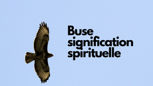 La buse: quelle signification spirituelle et symbolique?