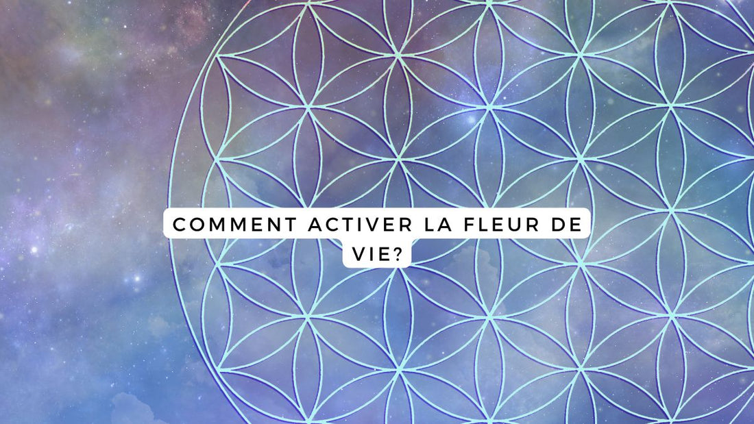 Comment activer la fleur de vie ?