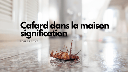 Cafard dans la maison signification