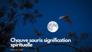 Chauve souris signification spirituelle