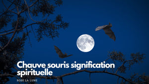 Chauve souris signification spirituelle