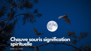 Chauve-souris : quelle signification spirituelle ?